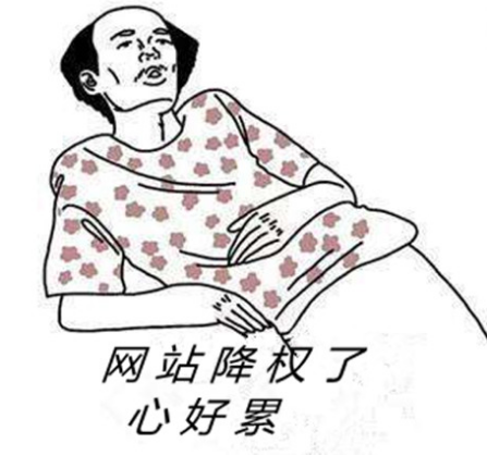 網(wǎng)站降權(quán)